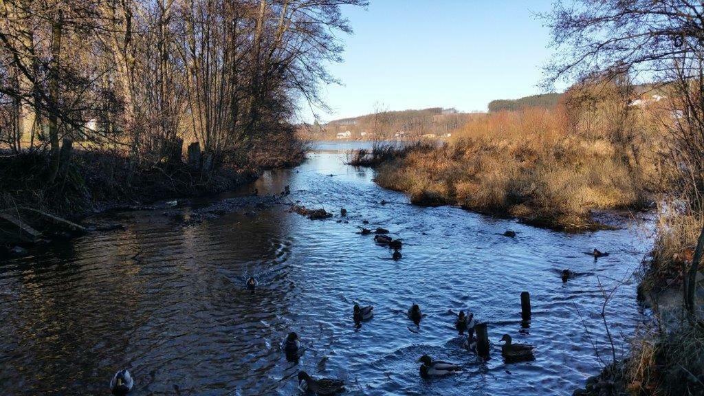 Ferienwohnung Am Sorpesee Allendorf  Eksteriør bilde